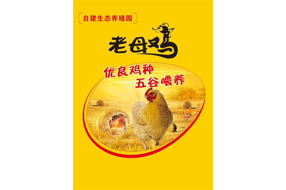 神丹老母雞800g/2隻 生(shēng)态養殖土雞 新鮮活雞 速凍保鮮順豐包郵